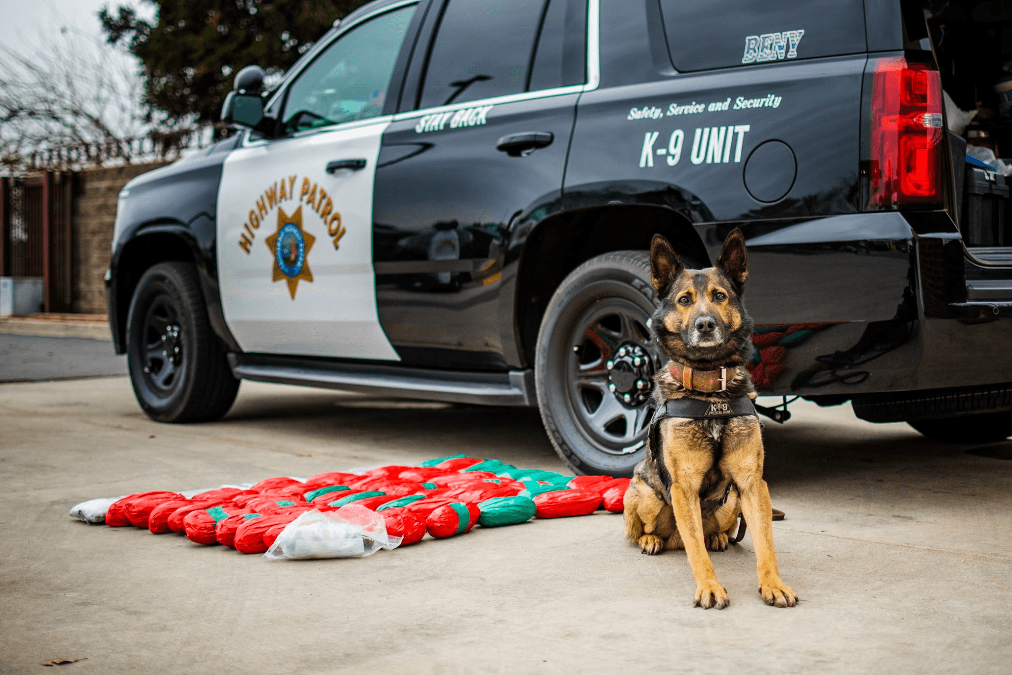 Canine Unit